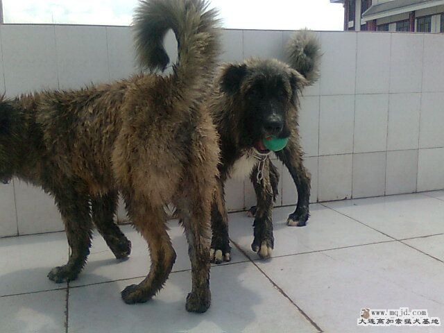 Ƭ0928.jpg