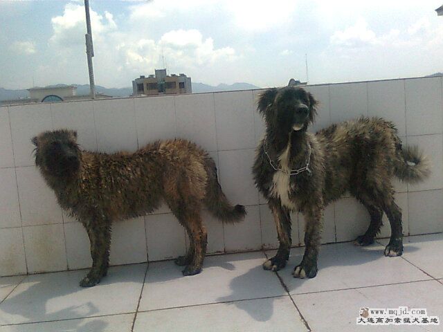 Ƭ0922.jpg