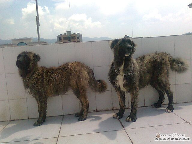 Ƭ0921.jpg