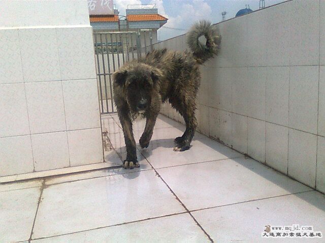 Ƭ0936.jpg