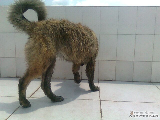 Ƭ0935.jpg