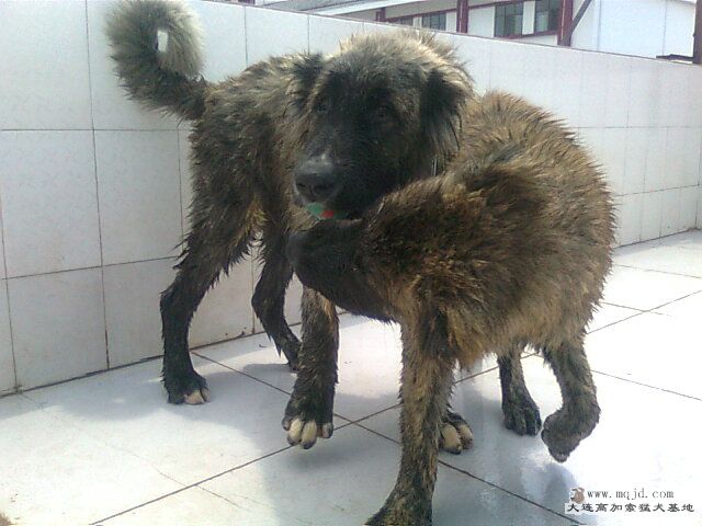 Ƭ0927.jpg