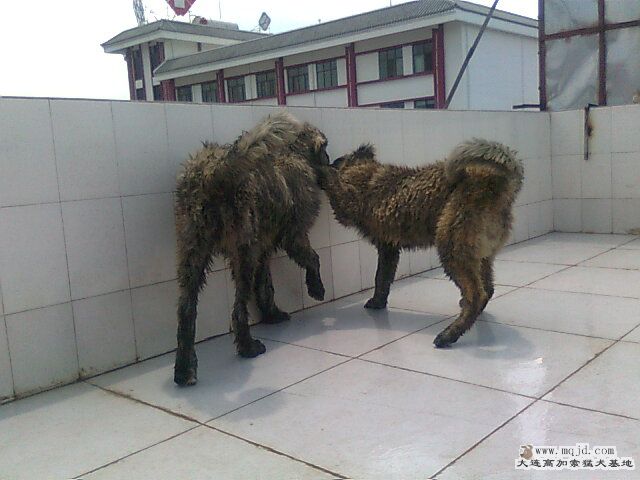 Ƭ0926.jpg