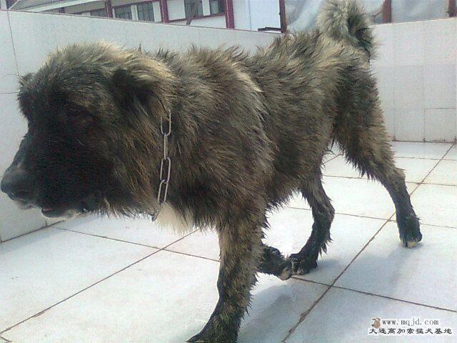 Ƭ0931.jpg