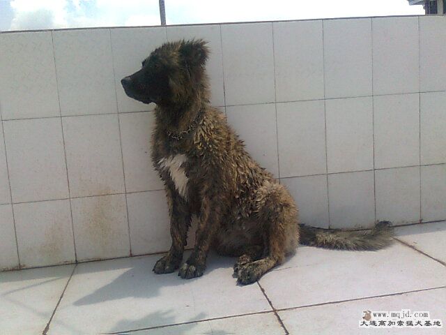 Ƭ0924.jpg