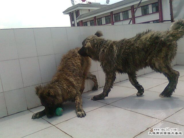 Ƭ0929.jpg