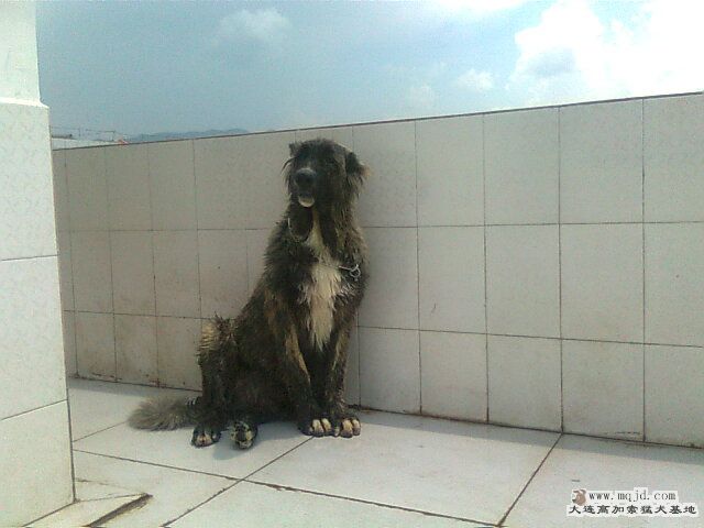 Ƭ0925.jpg
