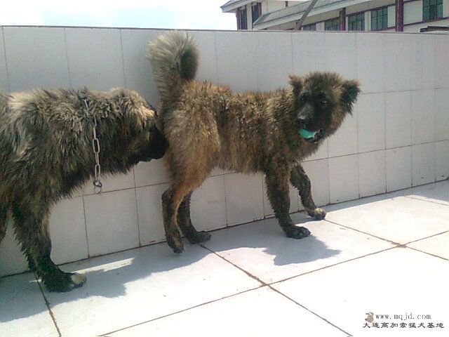 Ƭ0959.jpg