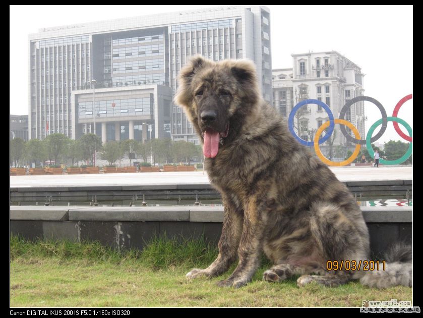 nEO_IMG_Ƭ 045.jpg