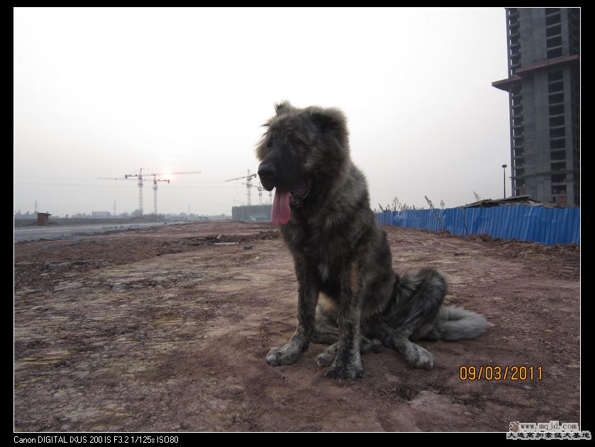 nEO_IMG_Ƭ 005.jpg