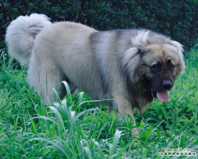 20110904_1003d_33m_011_D1.JPG