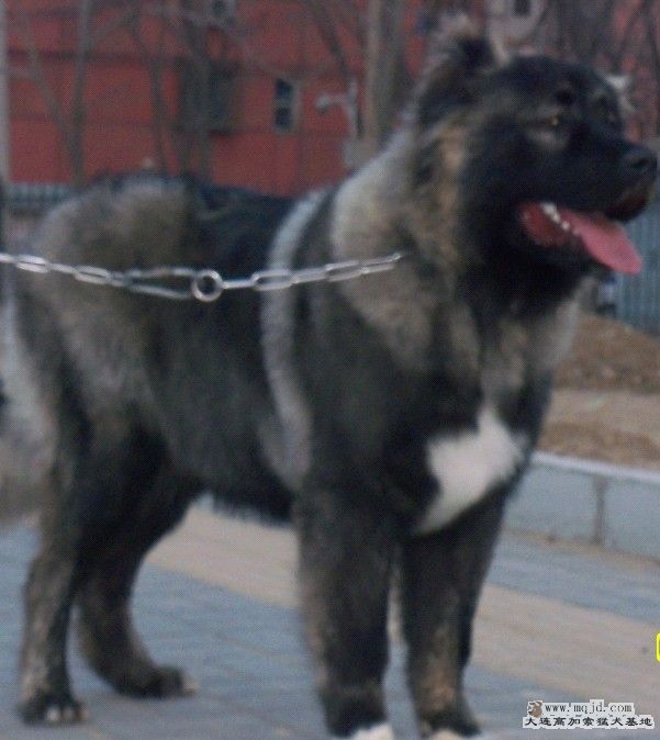 2011032903.jpg