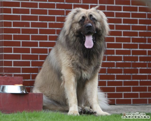 20110807_972d_32.5m_029_D1.JPG