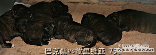 IMG_1680.JPG