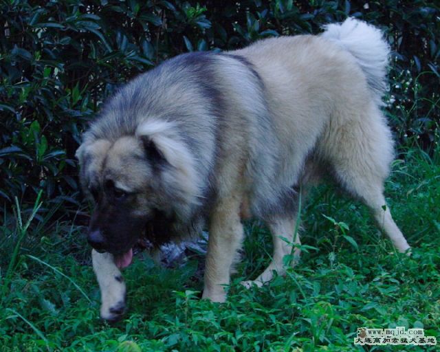 20110904_1003d_33m_004_D1.JPG