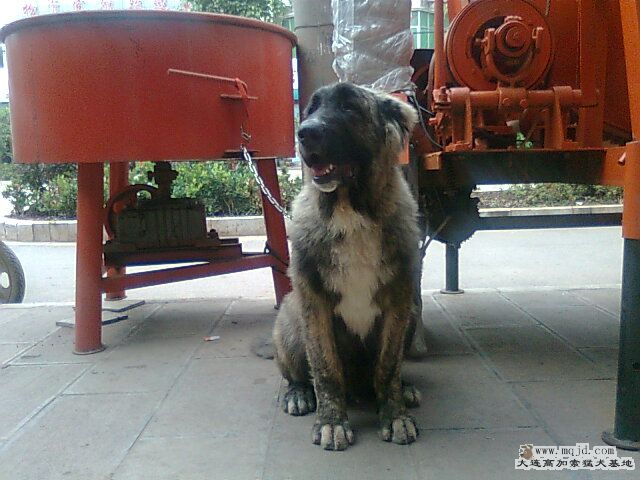 Ƭ0917.jpg