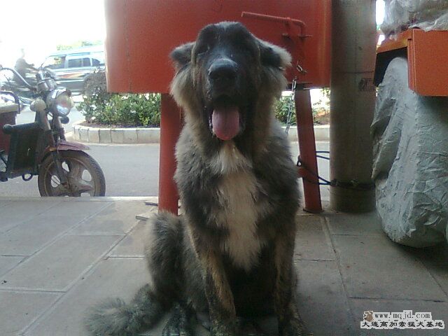 Ƭ0983.jpg