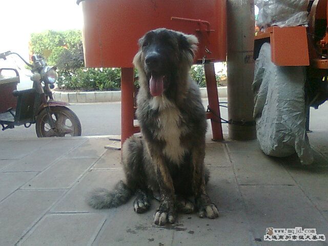 Ƭ0982.jpg