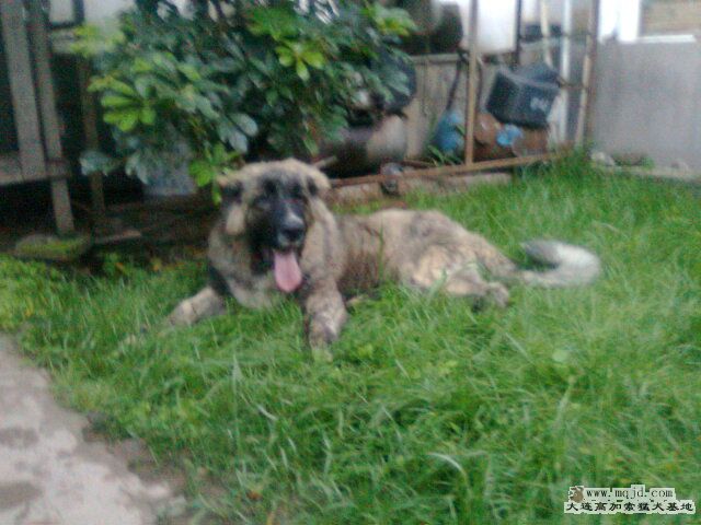 Ƭ0905.jpg