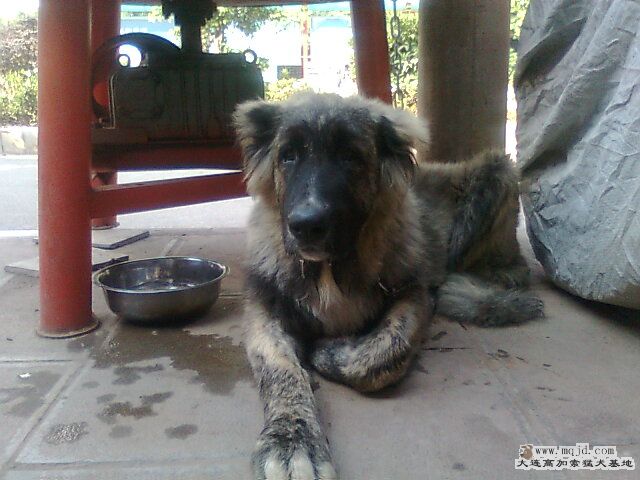 Ƭ0986.jpg