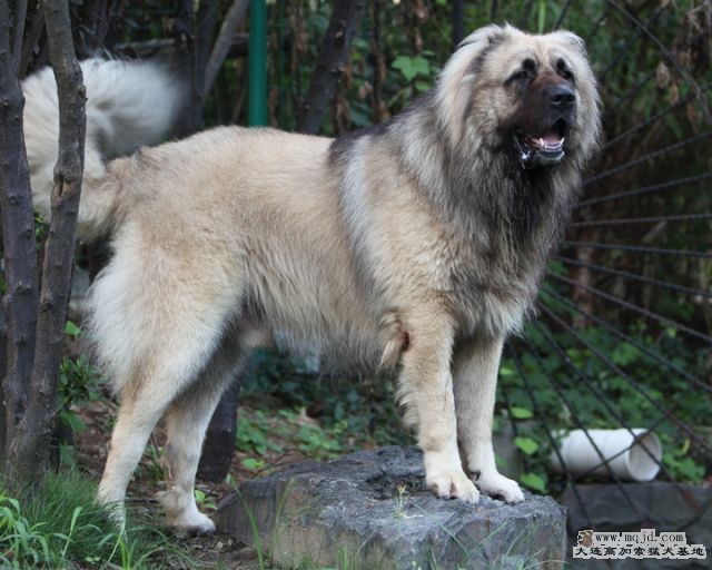 20110807_972d_32.5m_008_D1.JPG