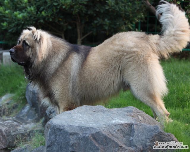 20110807_972d_32.5m_024_D1.JPG