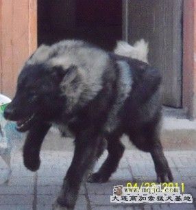 2011042309.jpg