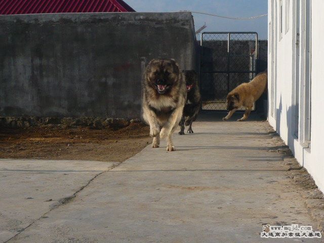 P1070120.JPG
