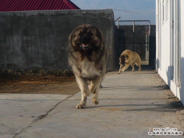 P1070121.JPG