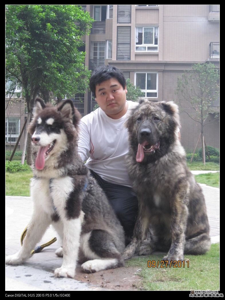 nEO_IMG_Ƭ 081.jpg