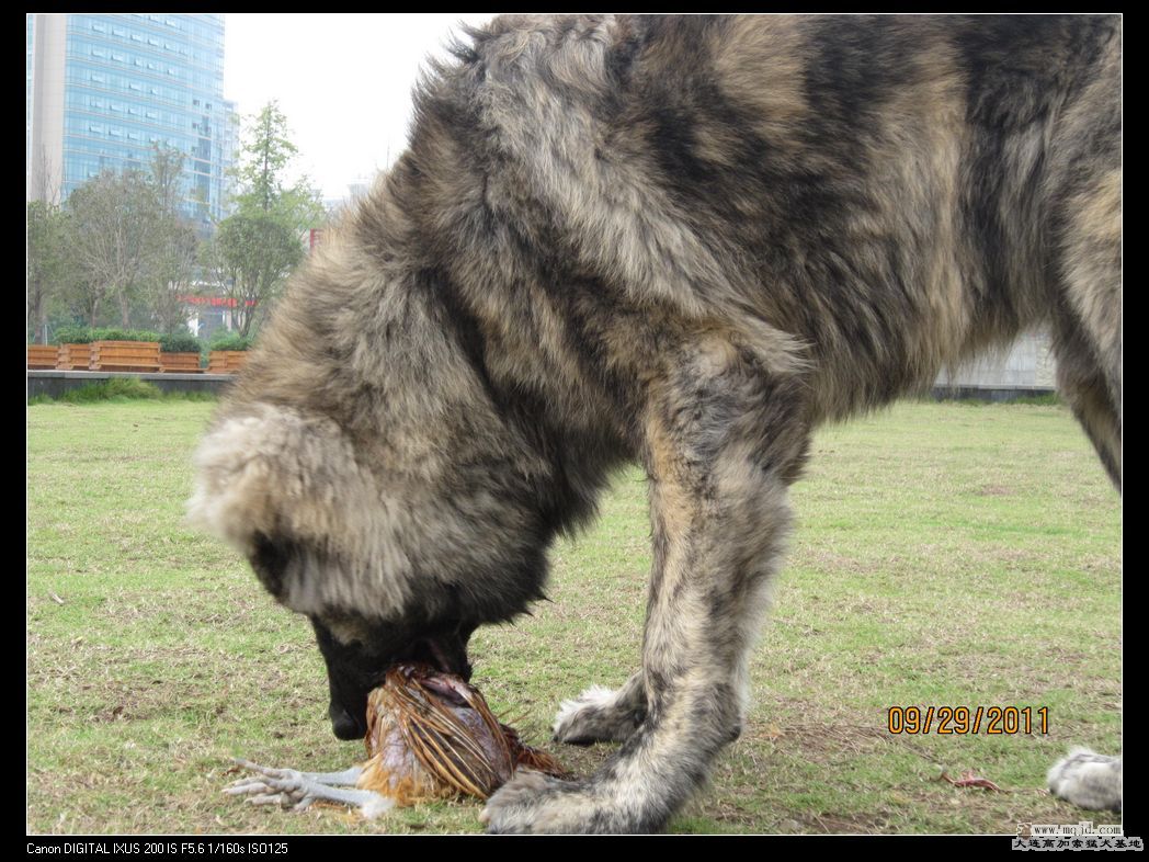 ϵë_ʼ׃