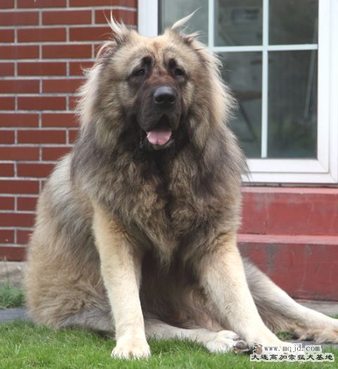 20111003_1034d_34m_018_D1.JPG