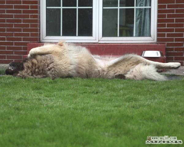 20111003_1034d_34m_004_D1.JPG