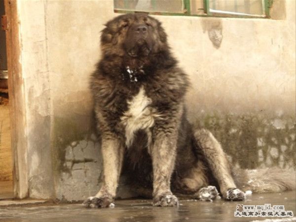 dscf1193__.jpg