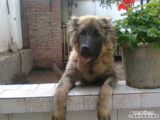 Ƭ1201.jpg