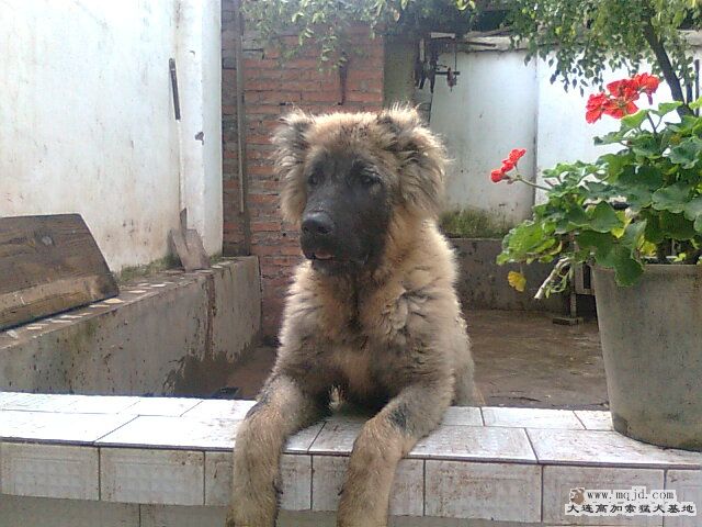 Ƭ1205.jpg