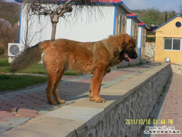 SAM_1705.JPG