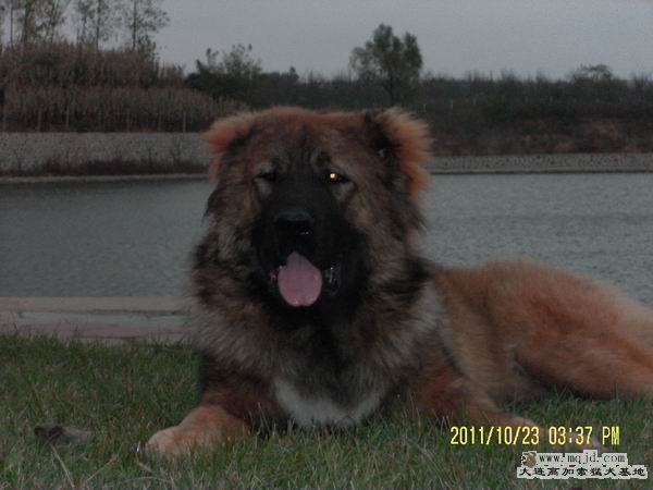 SAM_1923.JPG