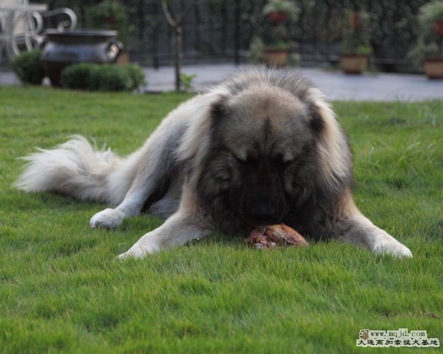 20111022_1053d_34.8m009_D1.JPG