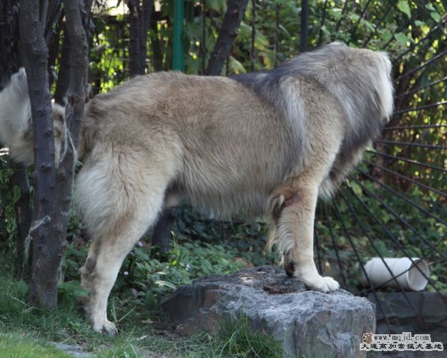 20111022_1046d_34.5m017_D1.JPG