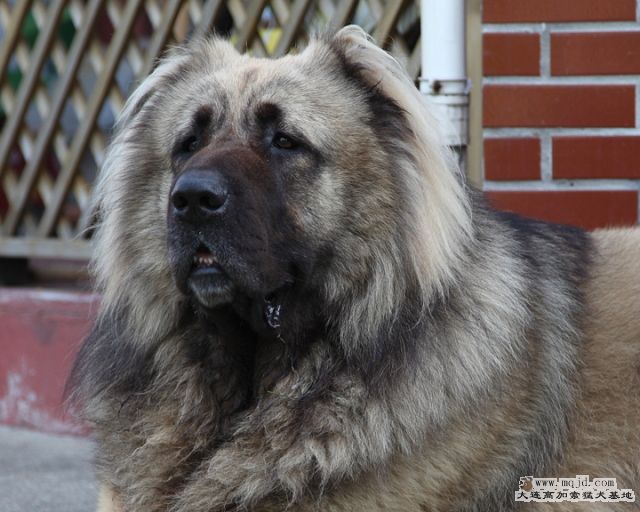 20111022_1046d_34.5m014b_D1.JPG