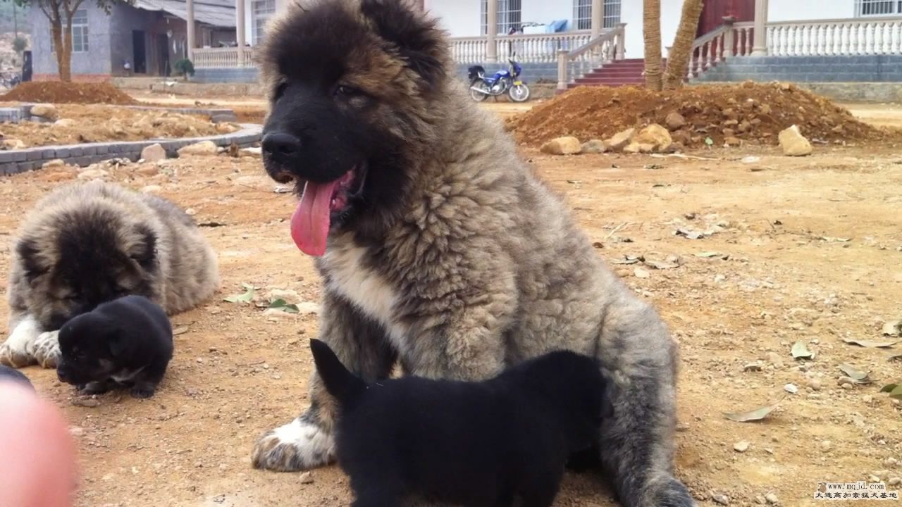 20111103124925.jpg