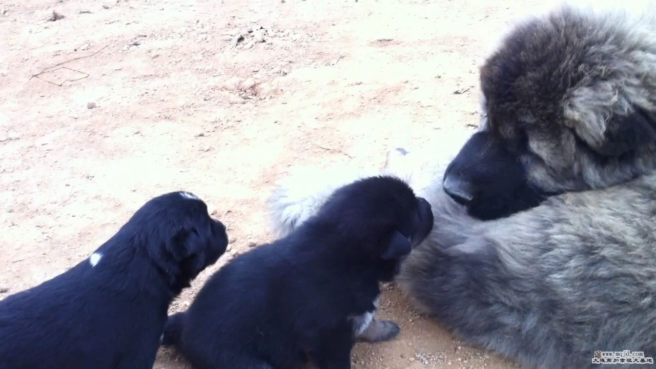 20111103124830.jpg