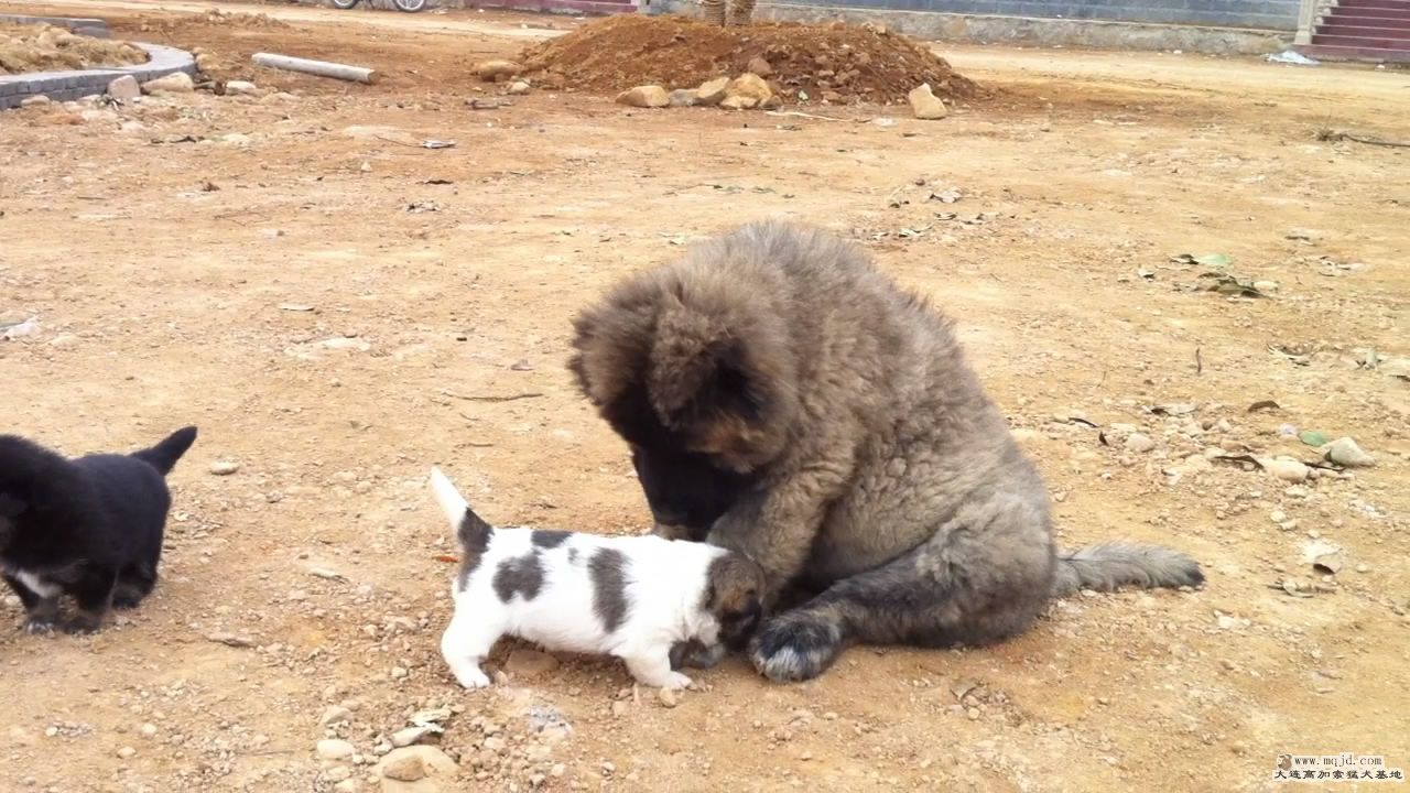 20111103125256.jpg
