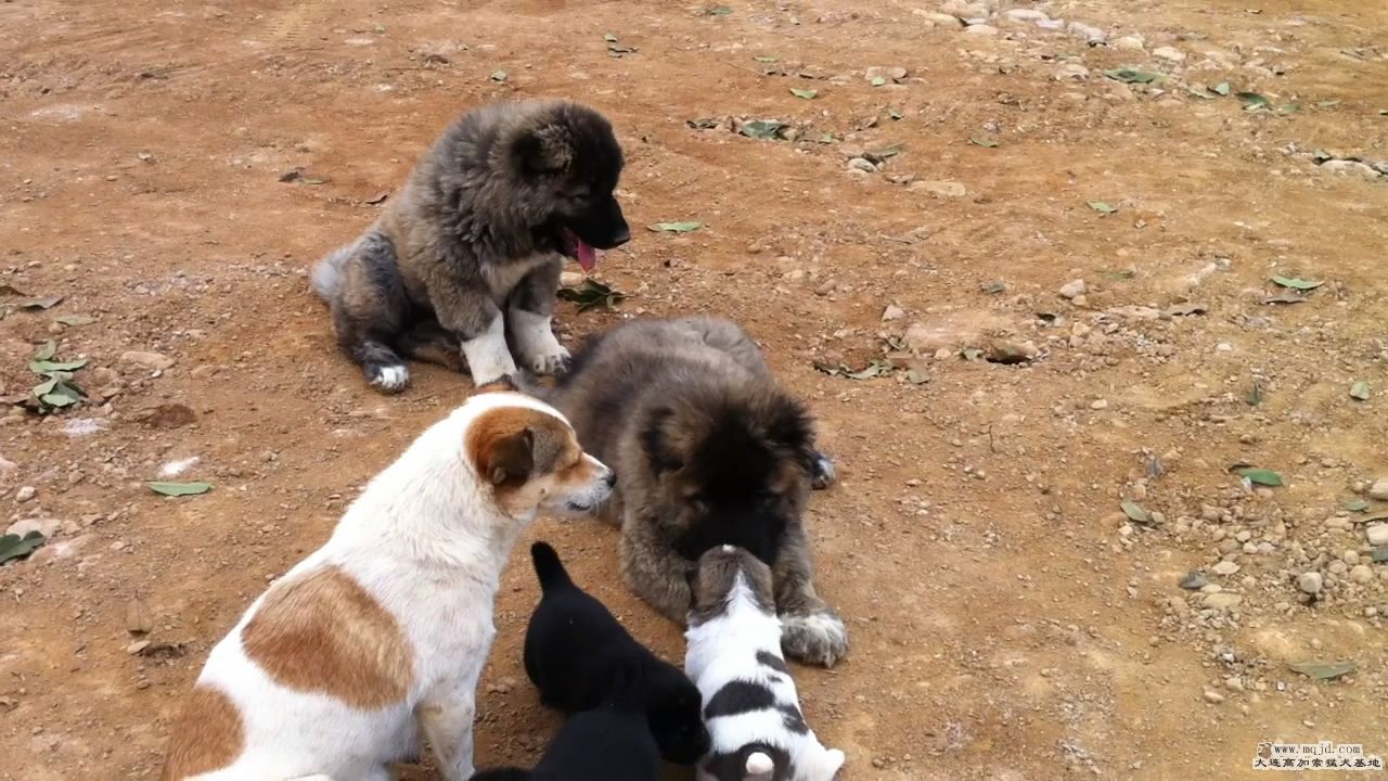 20111103125018.jpg
