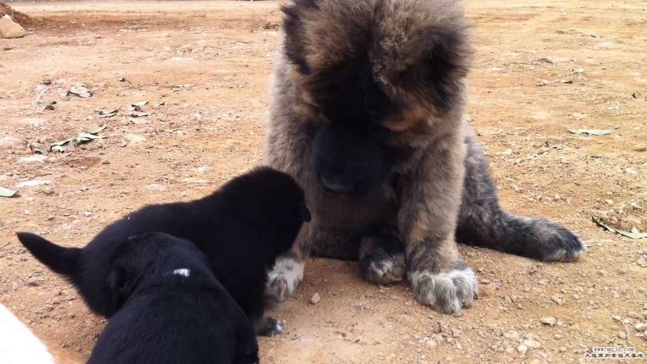 20111103124911.jpg