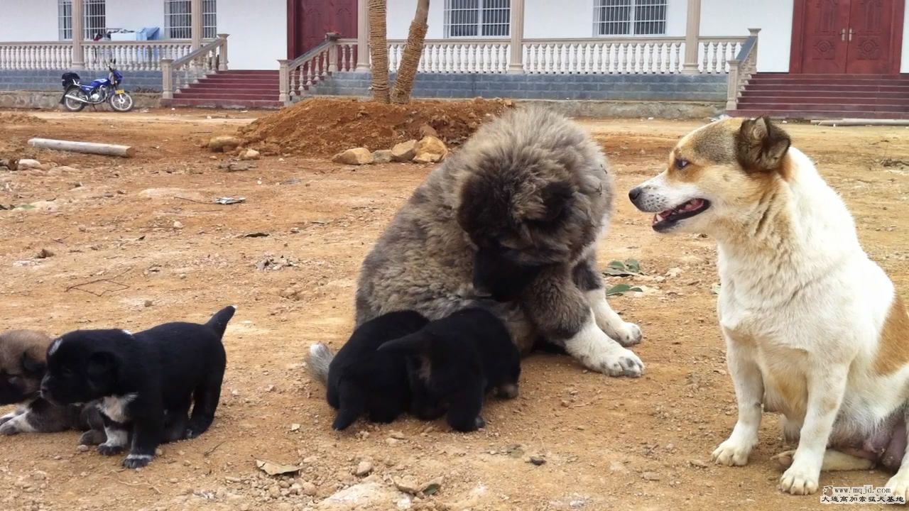 20111103124844.jpg