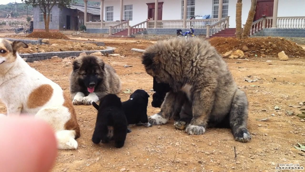 20111103124937.jpg