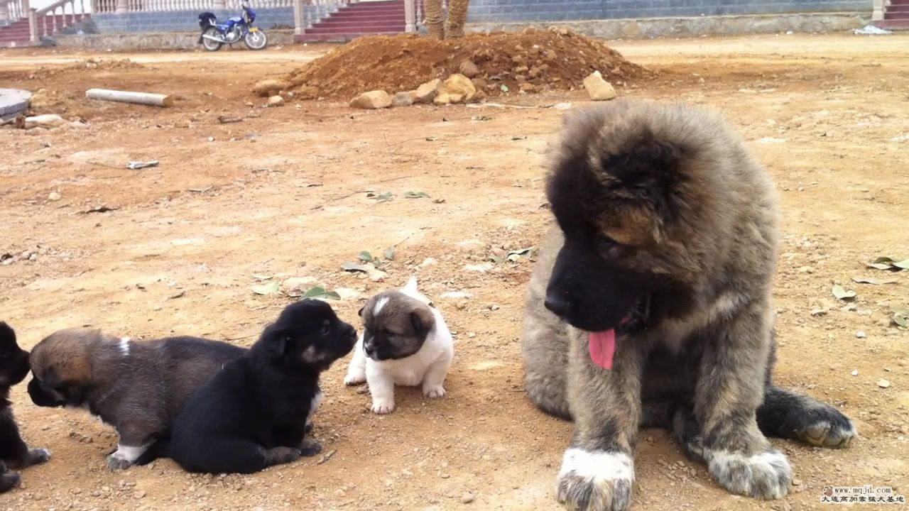 20111103125055.jpg
