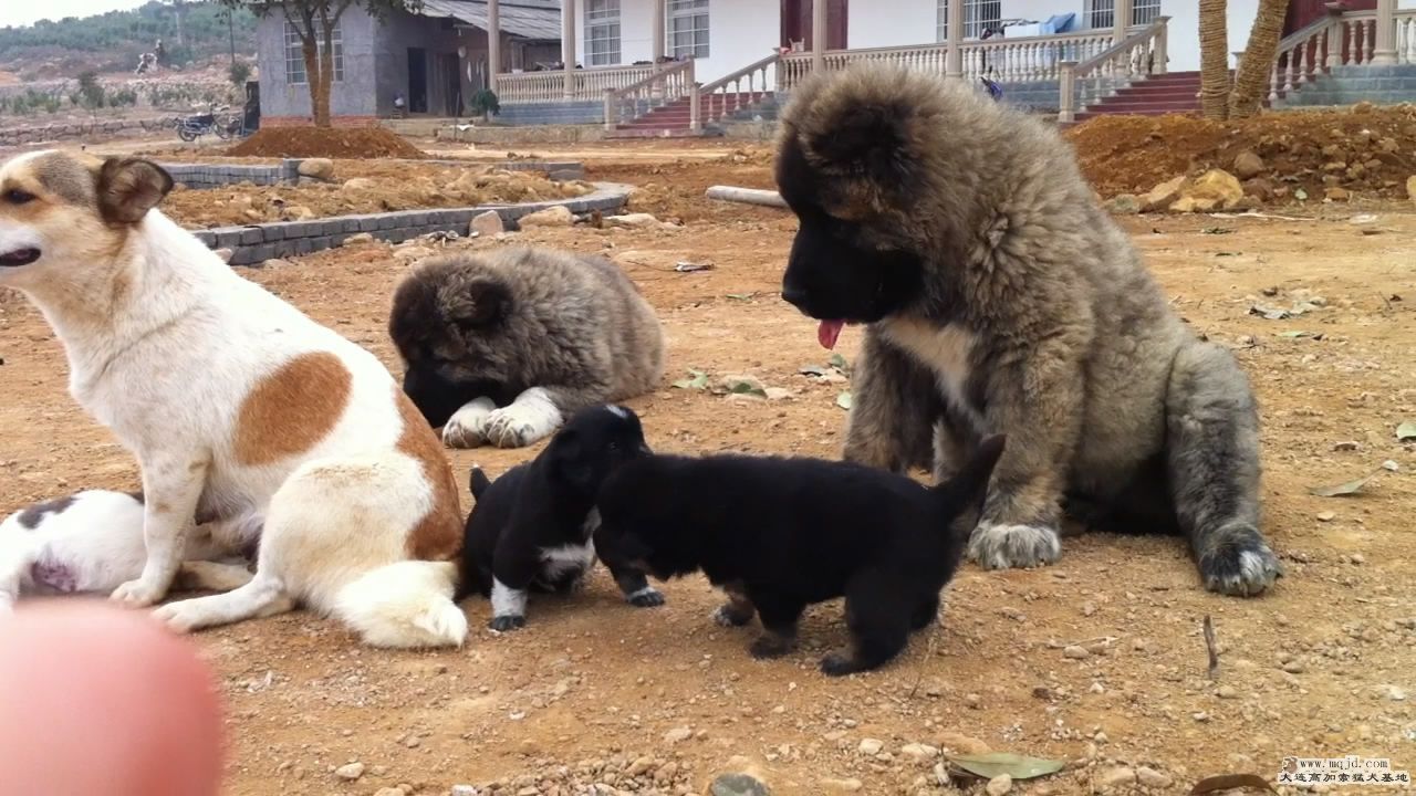 20111103124933.jpg